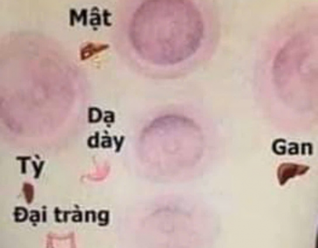 Chăm Sóc Cổ Vai Gáy Đúng Cách Với Dịch Vụ Chuyên Nghiệp Tại An Nhiên Spa