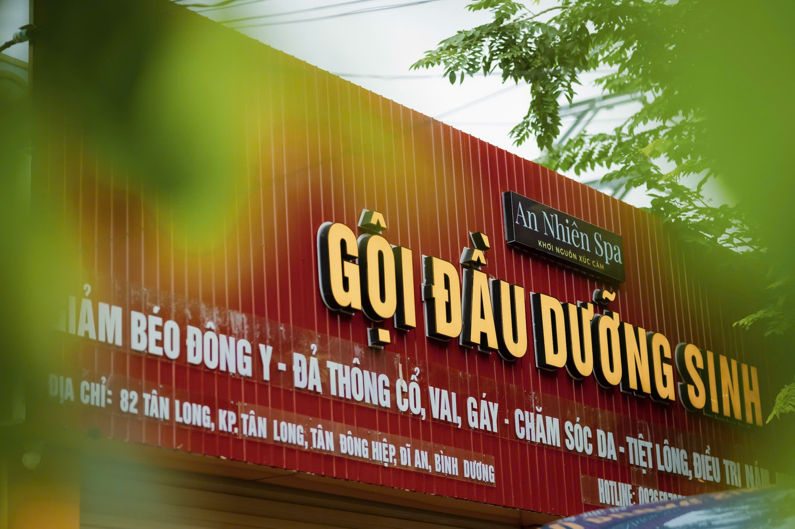 gội đầu dưỡng sinh